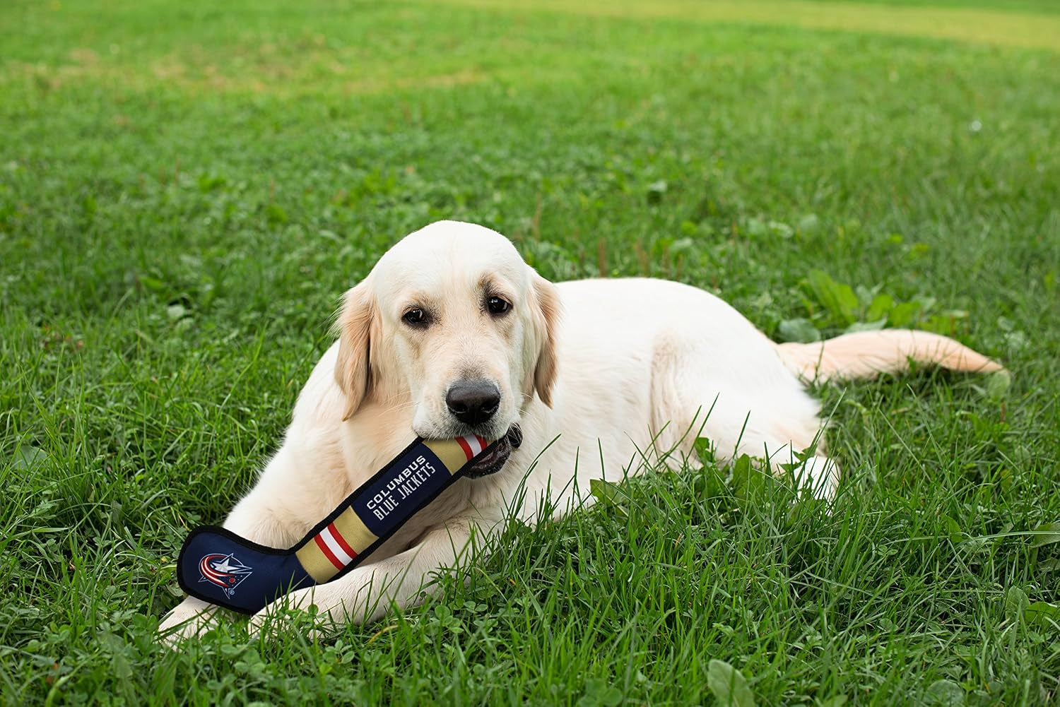 NHL Columbus Blue Jackets Stick Toy for Dogs & Cats. Play Hockey with Your Pet with This Licensed Dog Tough Toy Reward! , 16 Inches Long