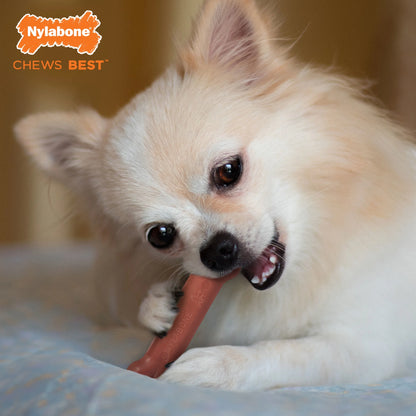 Power Chew Original Bone Dog Toy, Dog Chew Toy, Bacon Flavor, X-Small, 1 Count
