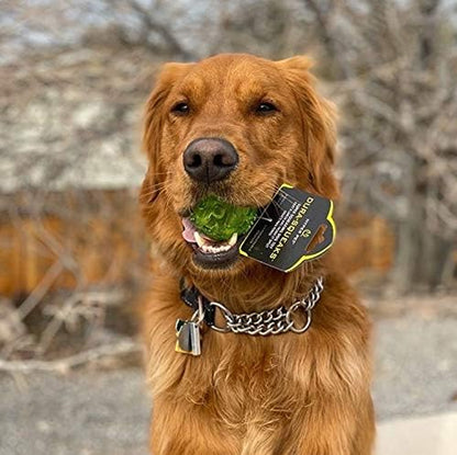 Durasqueak Dog Ball Toy, Interactive Dog Toys That Float and Squeaks for Playing, Fetching and Retrieving-Great Alternative to Traditional Tennis Balls Green 2.5 Inch | Bold Sound Effects Reward Play, a Fresh Alternative to Traditional Tennis Options, Keeps Pups Chasing and Retrieving Daily