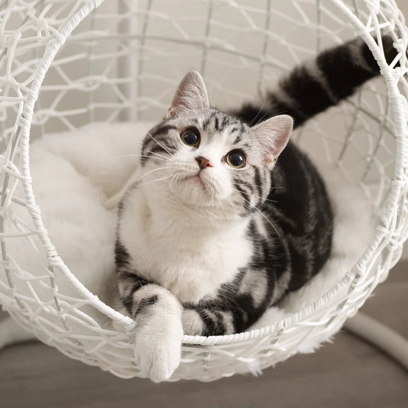35.04" Cat Bed